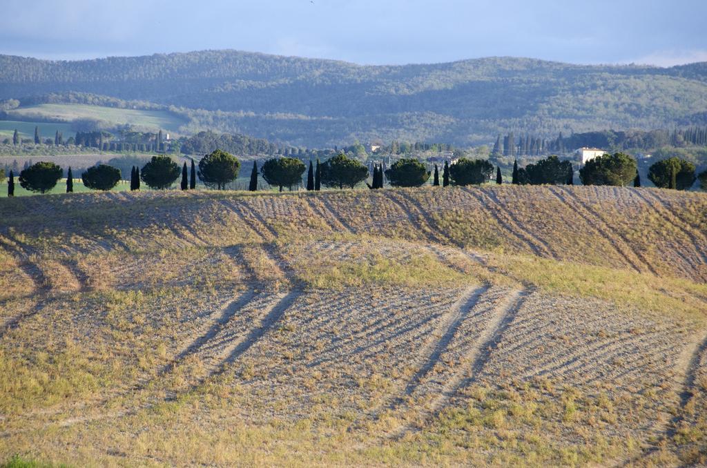 Agriturismo Poggio Bonelli Castelnuovo Berardenga Kültér fotó