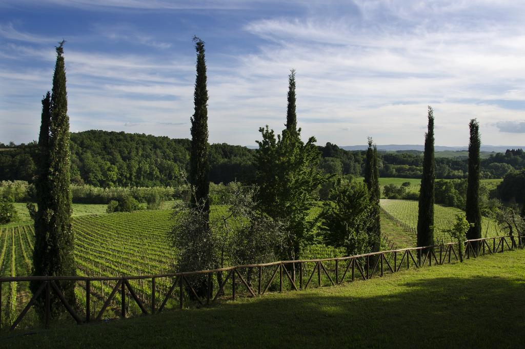 Agriturismo Poggio Bonelli Castelnuovo Berardenga Kültér fotó