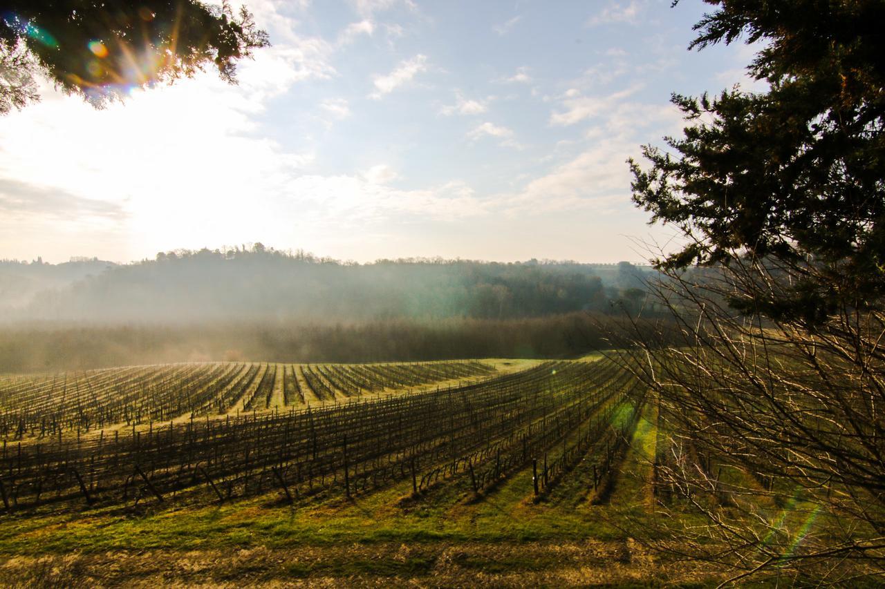 Agriturismo Poggio Bonelli Castelnuovo Berardenga Kültér fotó